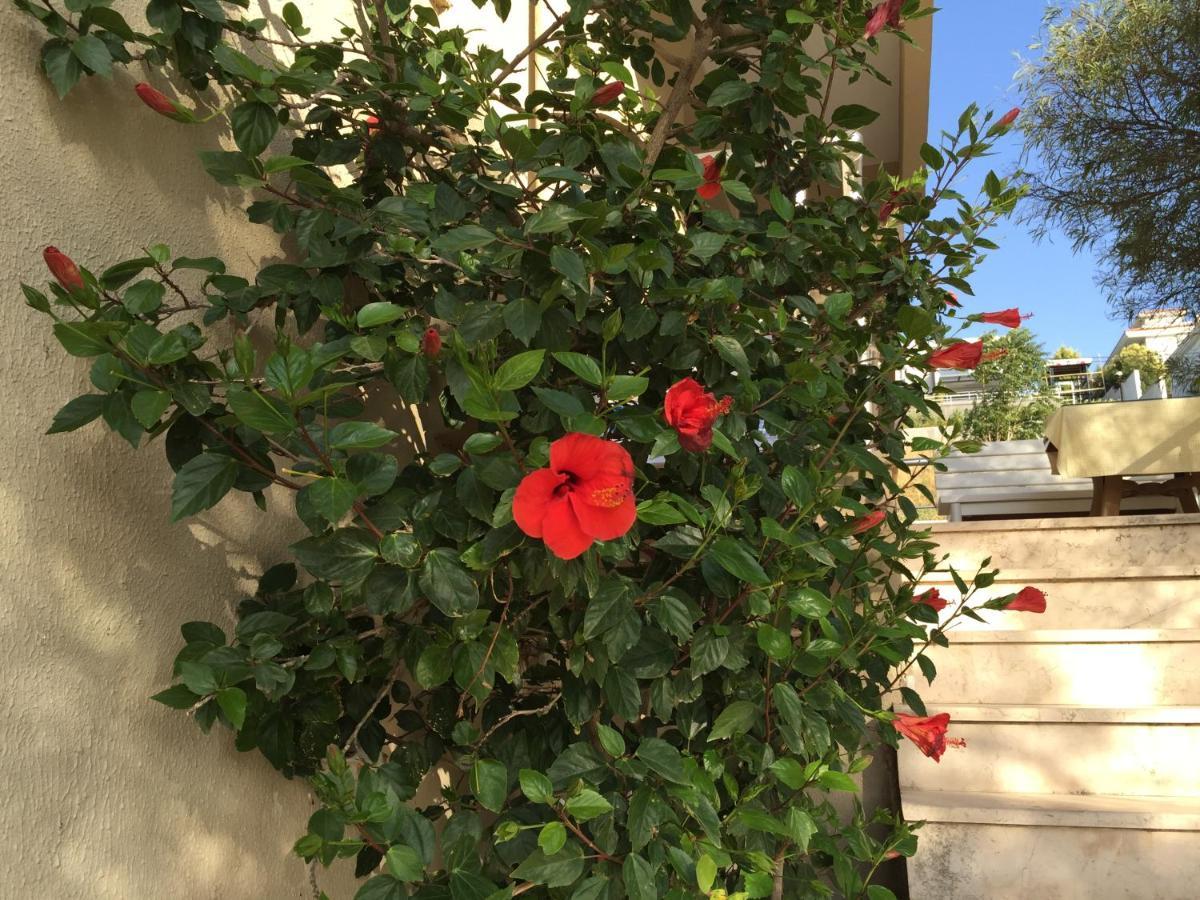 Cicek Apart Hotel Cesme Exterior foto